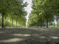 Versailles / Paris