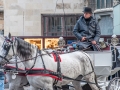 Wien 16