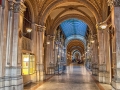 Wien 40