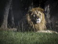 Zoo la Barben /France