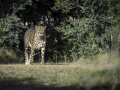 Zoo la Barben /France
