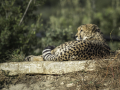 Zoo la Barben /France