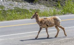 La route des glaciers