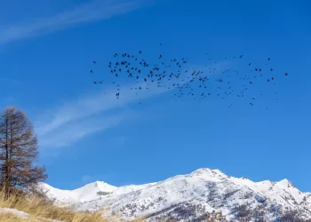 Au dessus d'Abries Abries, France, Hautes Alpes, Provence Alpes Cote d'Azur