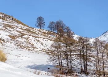 La Montete Abries, France, Hautes Alpes, Provence Alpes Cote d'Azur