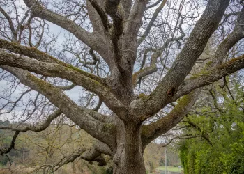 Bouches du Rhône, France, Le Canal, Provence Alpes Cote d'Azur, Ventabren