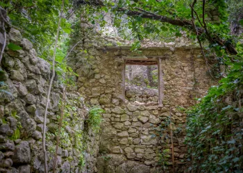 Bouches du Rhône, France, L'Hermitage, Provence Alpes Cote d'Azur, Ventabren