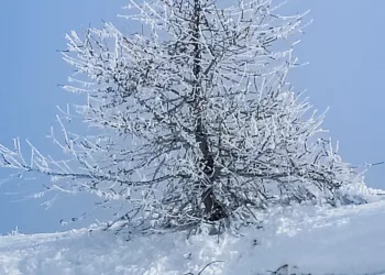 Abries Abries, France, Hautes Alpes, Provence Alpes Cote d'Azur