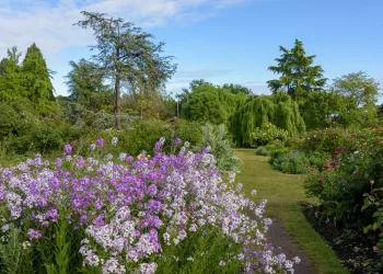Parc Queen Elizabeth fleuri