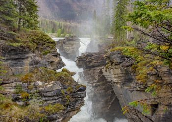 Athabasca falls