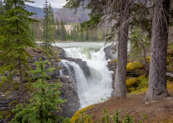 Athabasca falls