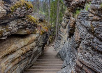 Athabasca falls