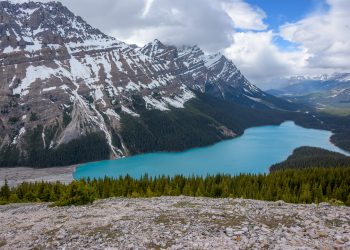Lac Peyto