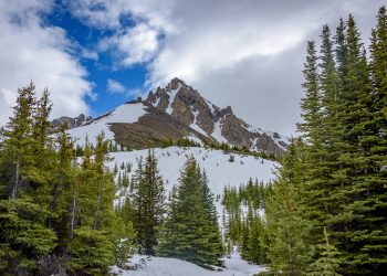 Lac Peyto