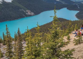 Lac Peyto