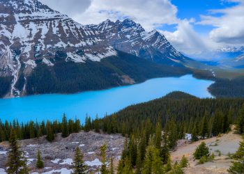 Lac Peyto
