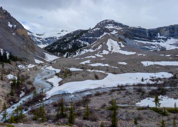Bow Lake, direction le glacier
