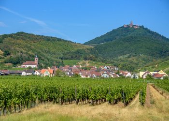 Château du Haut-Kœnigsbourg