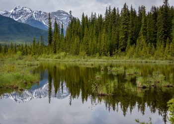 Vermilion Lakes