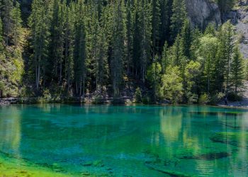 Grassi Lakes