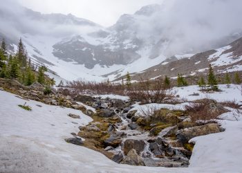 C'est encore l'hiver