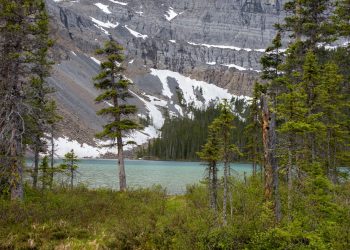 Ross Lake