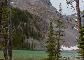 Ross Lake
