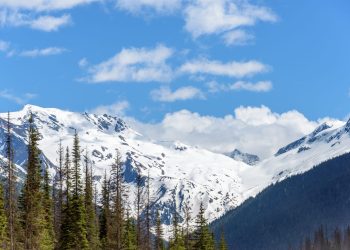 Fond de vallée