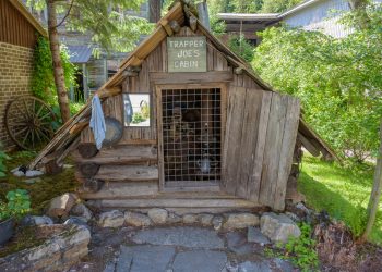 Cabane du trappeur