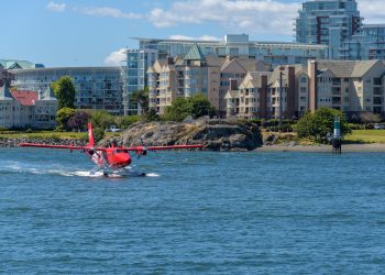 Grosse activité d'hydravion
