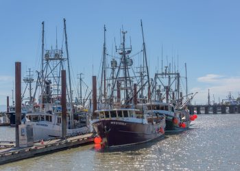 Port Seafood