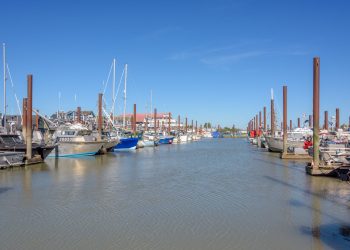 Port Seafood