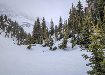 Hamilton Lake