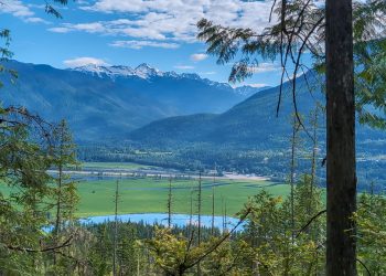Revelstoke