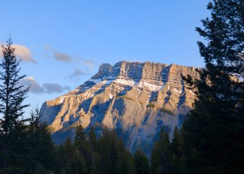 Rundle