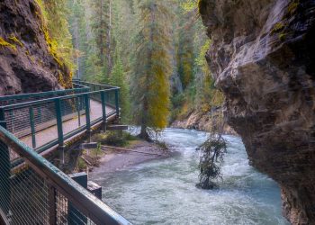 Johnston Canyon