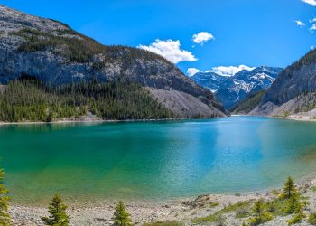 Grassi Lakes