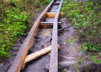 Sentier en construction