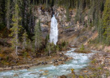 Laughing falls