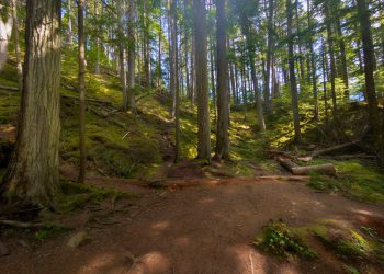 Begbie Falls