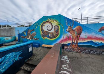 Dallas Road Swim Pavilion Staircase