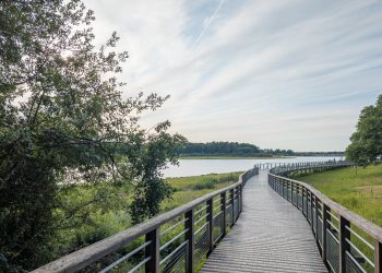 Lac de Bouzey